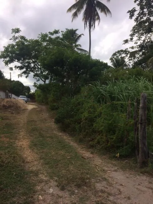 Foto 1 de Lote/Terreno à venda, 1500m² em Jardim Boa Sorte, Igarassu