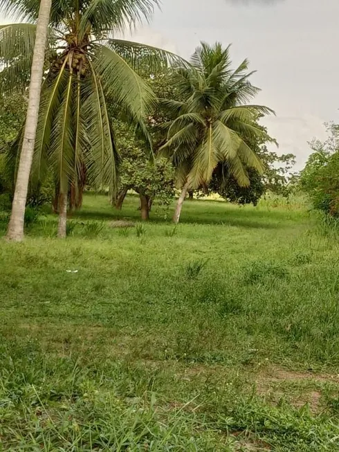 Foto 1 de Lote/Terreno à venda, 18880m² em Rio dos Cachorros, São Luís