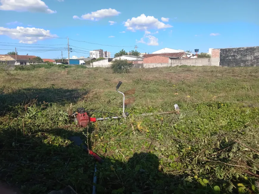 Foto 1 de Lote/Terreno para alugar, 3000m² em Parque da Fonte, São José dos Pinhais