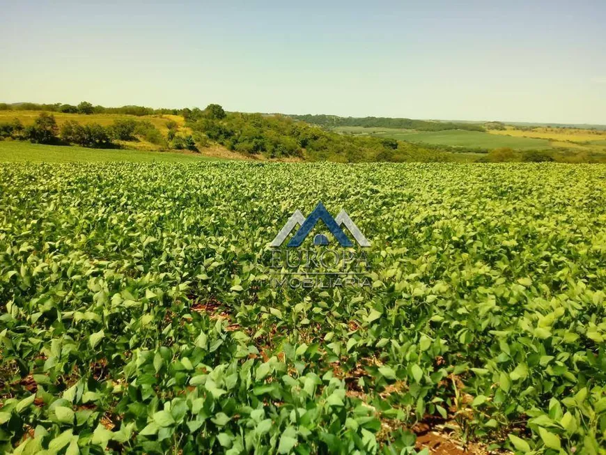 Foto 1 de Fazenda/Sítio à venda, 100m² em , Leópolis