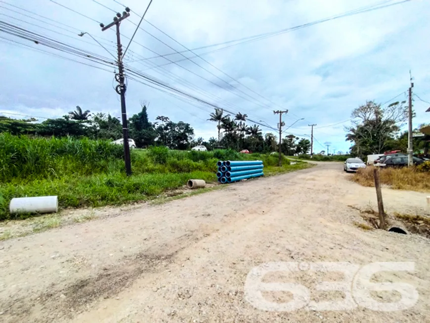 Foto 1 de Lote/Terreno à venda, 325m² em Morro Grande, Araquari