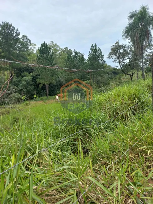 Foto 1 de Lote/Terreno à venda, 5224m² em Campo Largo, Jarinu