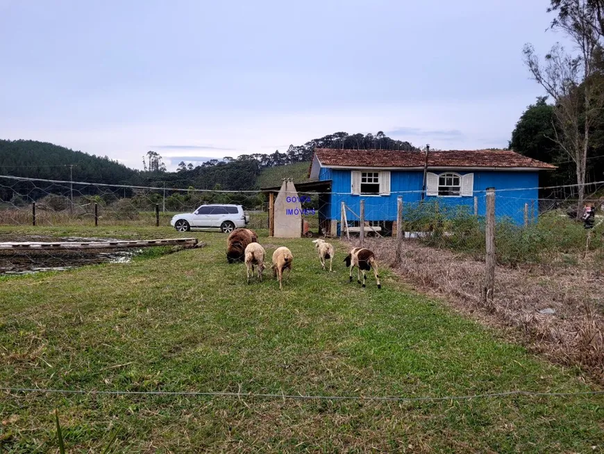 Foto 1 de Fazenda/Sítio com 2 Quartos à venda, 31000m² em , Campina Grande do Sul