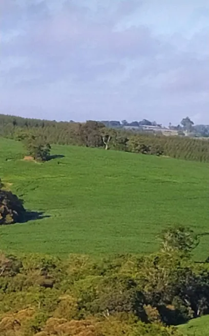 Foto 1 de Fazenda/Sítio com 1 Quarto à venda, 1m² em Zona Rural, São Miguel Arcanjo