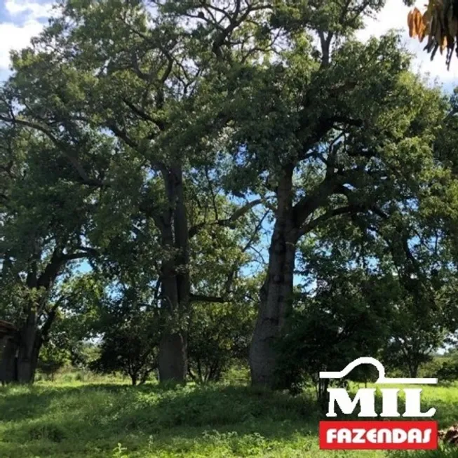 Foto 1 de Fazenda/Sítio à venda em Zona Rural, Jaíba