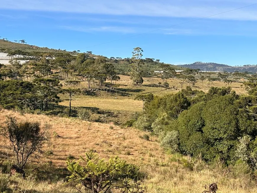 Foto 1 de Fazenda/Sítio à venda, 20000m² em Zona Rural, Urubici