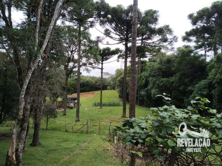 Foto 1 de Fazenda/Sítio com 3 Quartos à venda, 33000m² em Contenda, São José dos Pinhais