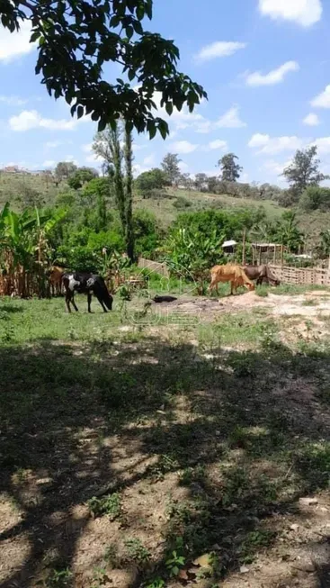 Foto 1 de Lote/Terreno à venda, 1000m² em Parque Aeroporto, Campinas