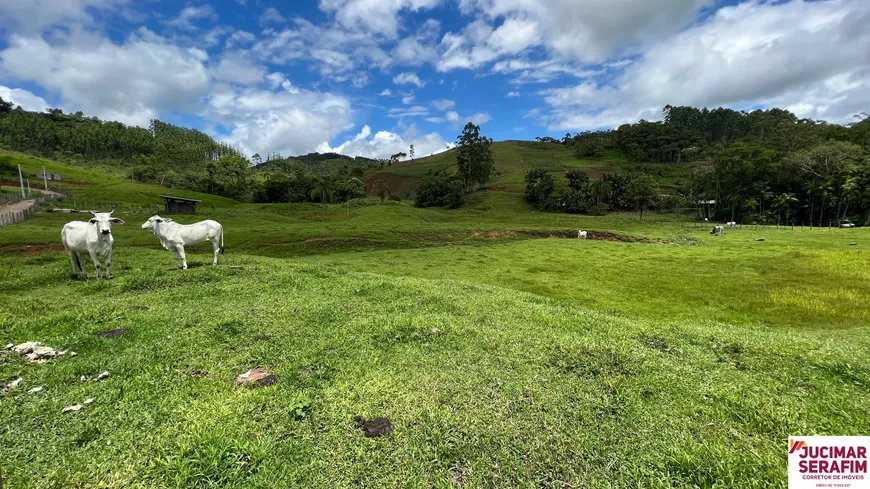 Foto 1 de Fazenda/Sítio com 1 Quarto à venda, 32000m² em Oliveiras, Tijucas