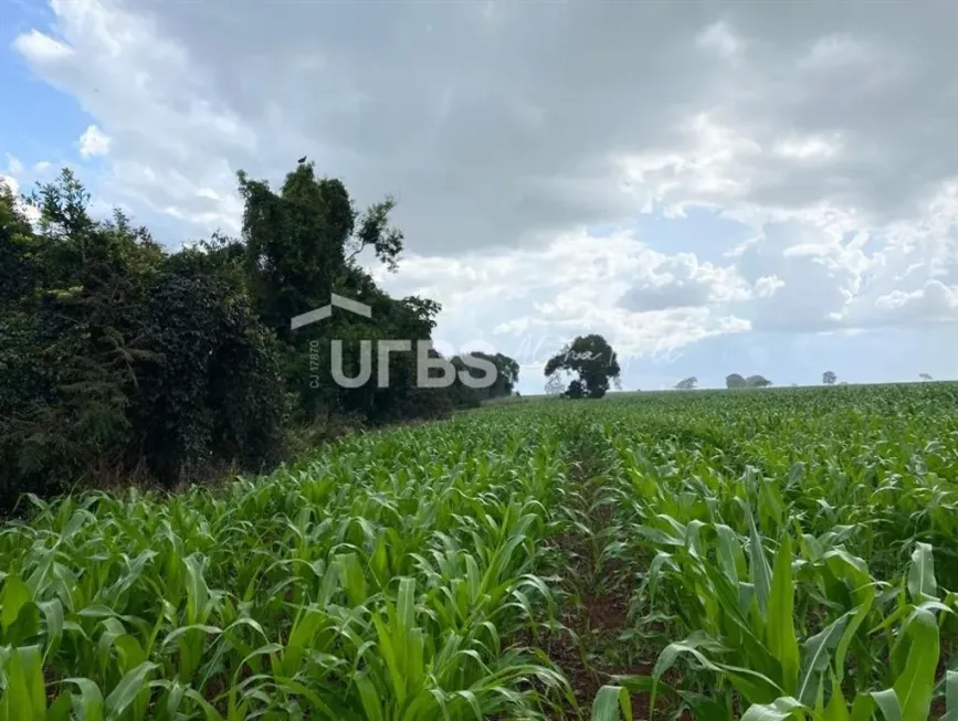 Foto 1 de Fazenda/Sítio à venda, 6m² em , Bela Vista de Goiás