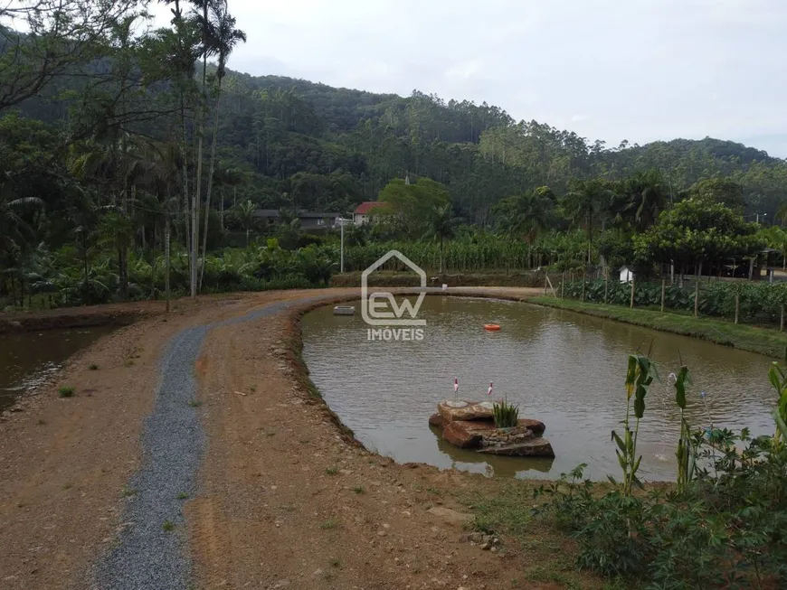 Foto 1 de Fazenda/Sítio com 1 Quarto à venda, 50m² em , Massaranduba