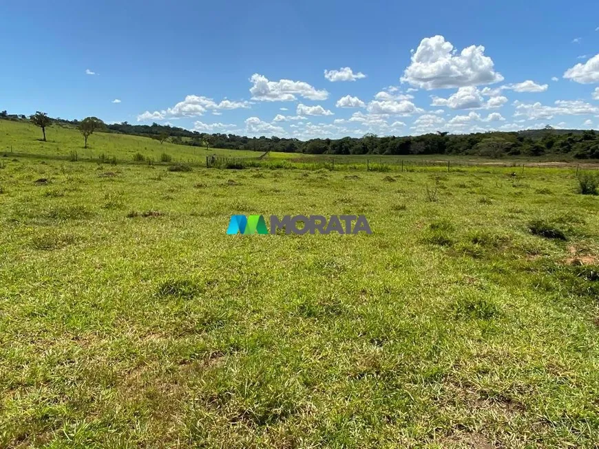 Foto 1 de Fazenda/Sítio com 1 Quarto à venda, 236m² em Zona Rural, Martinho Campos