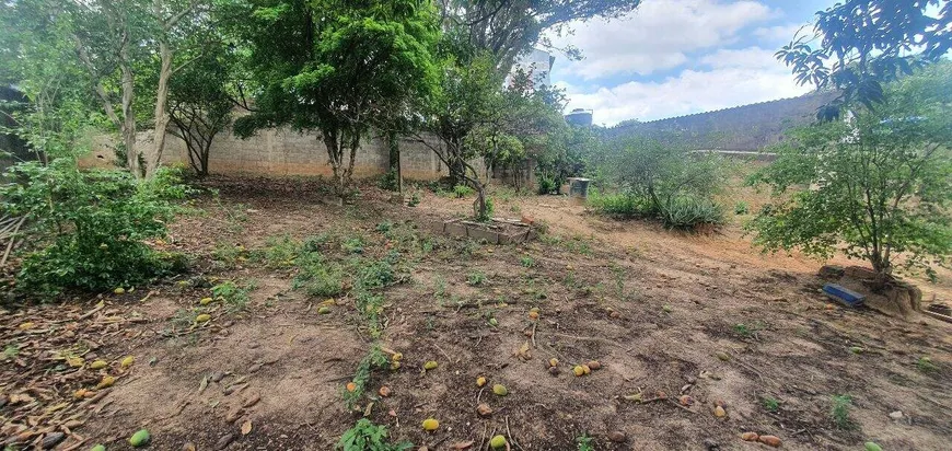 Foto 1 de Fazenda/Sítio com 3 Quartos à venda, 110m² em Vila Junqueira, Vinhedo