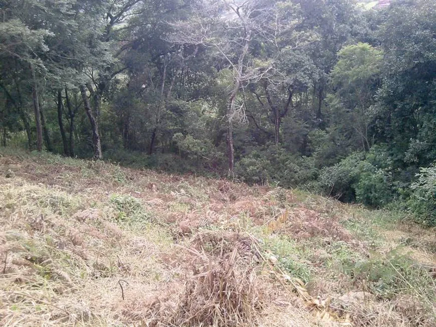 Foto 1 de Lote/Terreno à venda, 370m² em Centro, São Lourenço