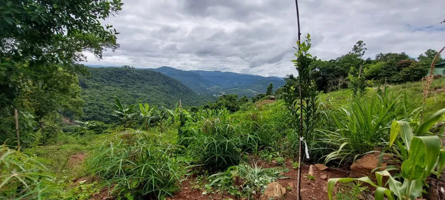 Foto 1 de Lote/Terreno à venda, 20000m² em , Linha Nova