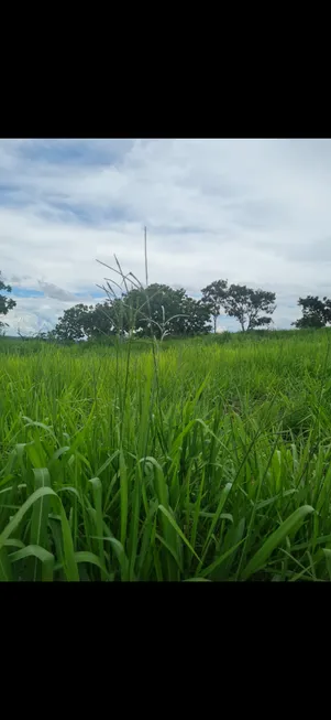 Foto 1 de Fazenda/Sítio à venda, 60m² em Jardim dos Ipês, Anápolis