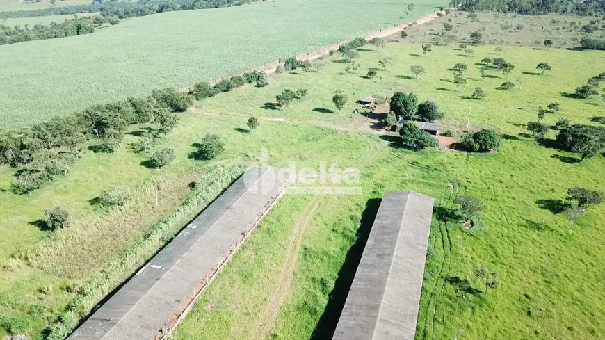 Foto 1 de Fazenda/Sítio à venda, 88000m² em Area Rural de Uberlandia, Uberlândia