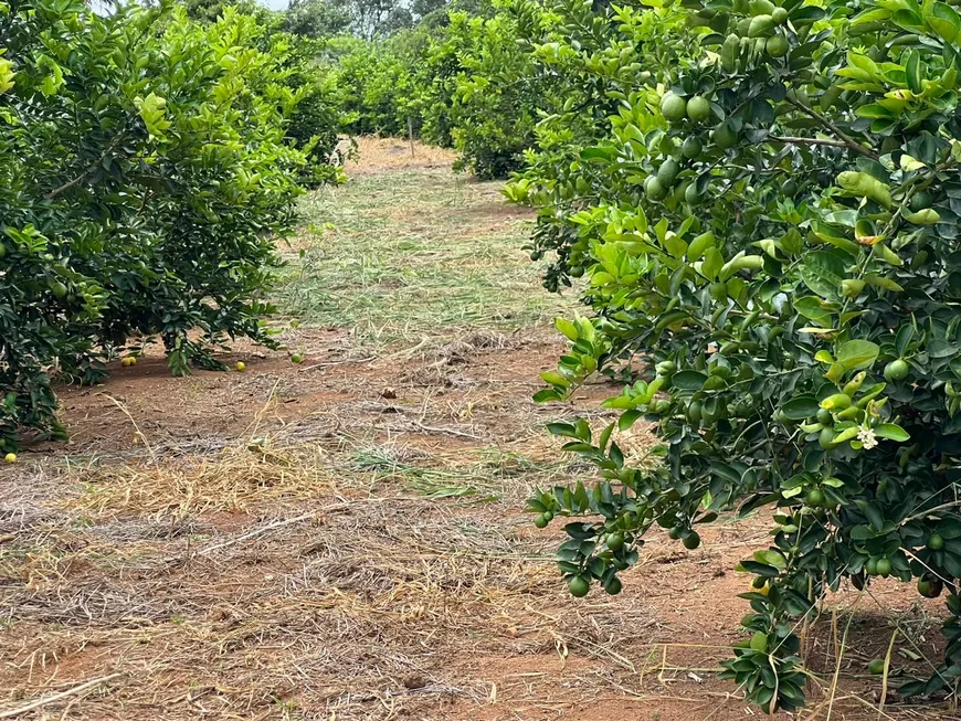 Foto 1 de Fazenda/Sítio com 4 Quartos à venda, 100000m² em Area Rural de Patos de Minas, Patos de Minas