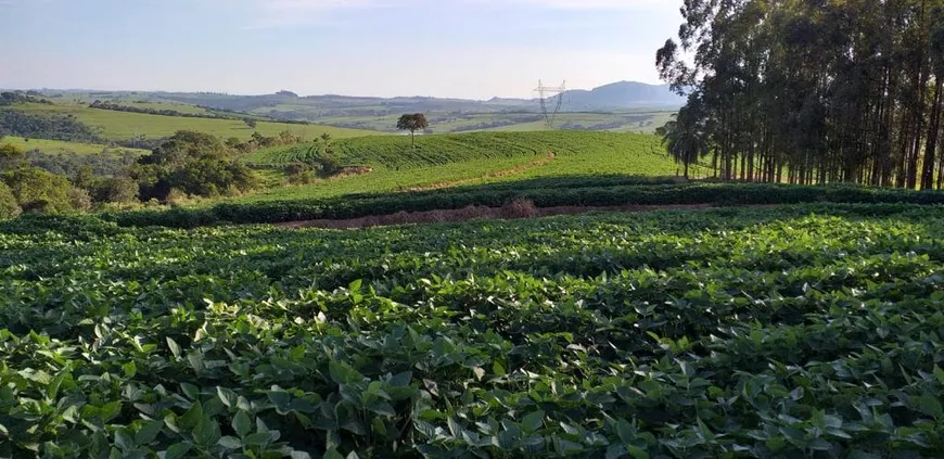 Foto 1 de Fazenda/Sítio com 3 Quartos à venda, 40m² em Area Rural de Santa Cruz da Conceicao, Santa Cruz da Conceição