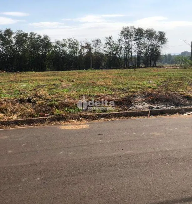 Foto 1 de Lote/Terreno à venda, 300m² em Jardim Ipanema, Uberlândia