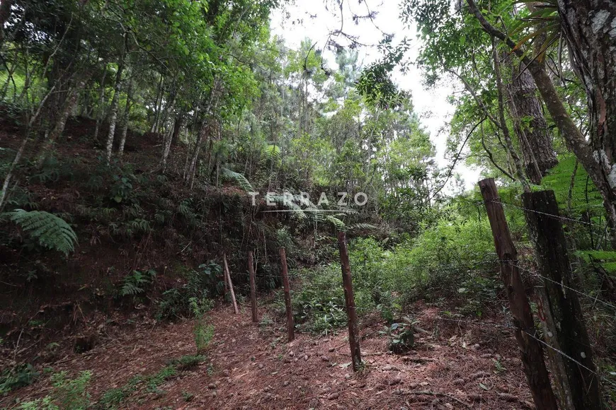 Foto 1 de Lote/Terreno à venda, 3000m² em Cascata dos Amores, Teresópolis