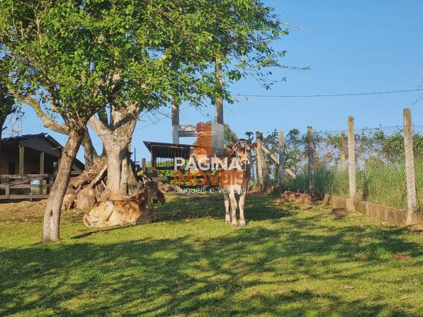 Foto 1 de Fazenda/Sítio com 4 Quartos à venda, 300m² em , Gravataí