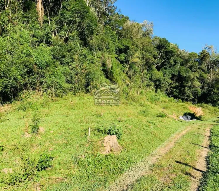 Foto 1 de Lote/Terreno à venda, 20000m² em Alto Garcia, Angelina