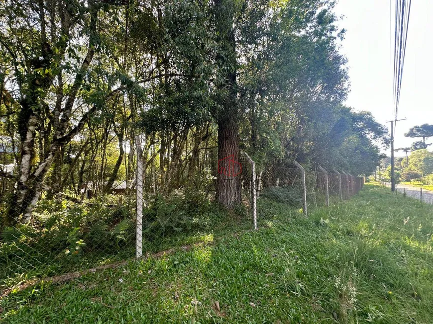 Foto 1 de Lote/Terreno à venda, 1200m² em Parque das Hortênsias, Canela