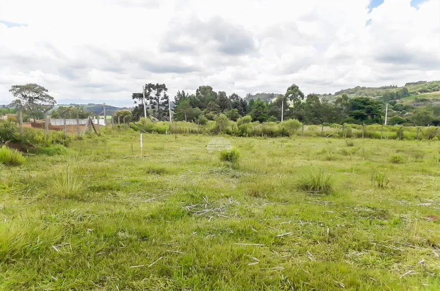 Foto 1 de Lote/Terreno à venda, 362m² em Riozinho, Irati