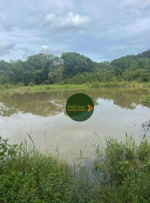 Foto 1 de Fazenda/Sítio à venda, 4840000m² em Zona Rural, Padre Bernardo