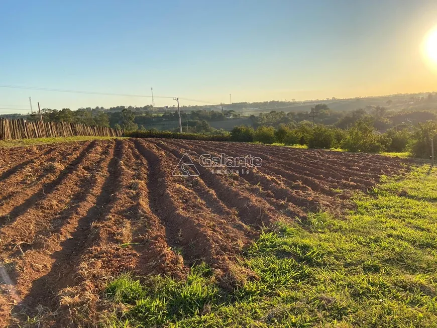 Foto 1 de Fazenda/Sítio com 2 Quartos à venda, 26455m² em Chácaras Alpina, Valinhos