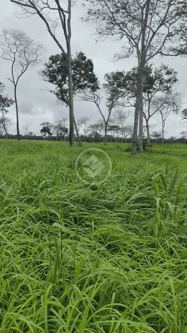 Foto 1 de Fazenda/Sítio à venda, 1600m² em Centro, Cáceres