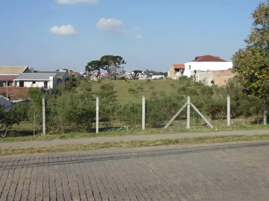 Foto 1 de Lote/Terreno à venda, 11665m² em Santo Antônio, São José dos Pinhais