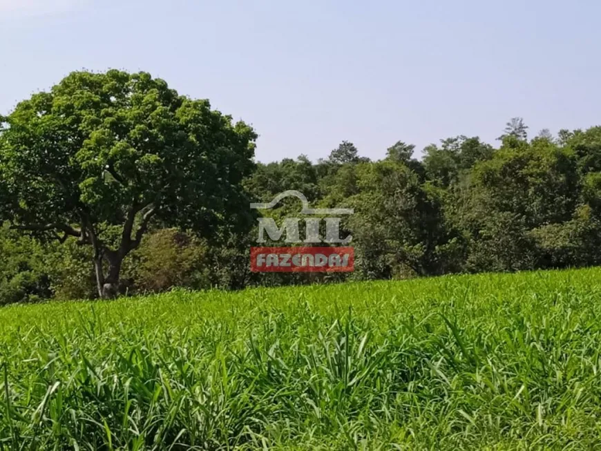 Foto 1 de Fazenda/Sítio à venda em Zona Rural , Cachoeira Alta