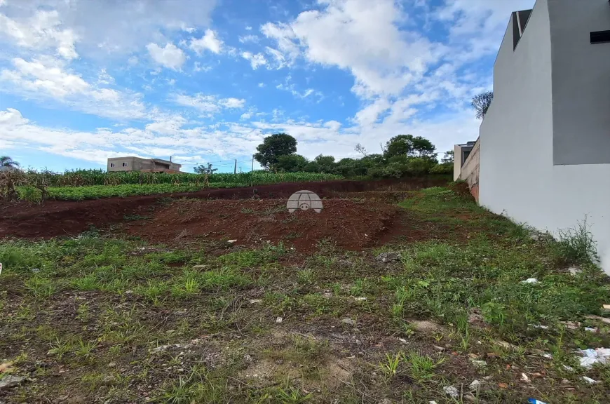 Foto 1 de Lote/Terreno à venda, 492m² em Cristo Rei, Pato Branco