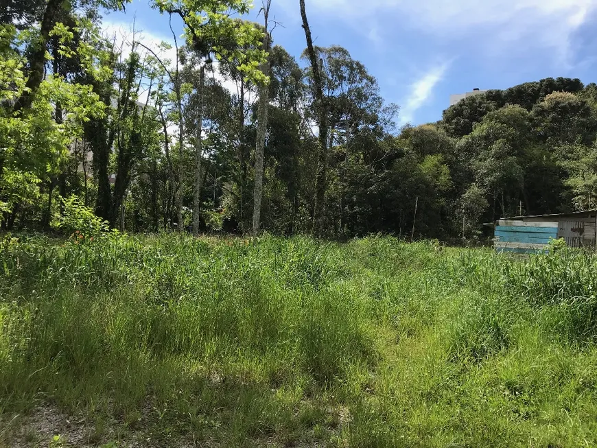 Foto 1 de Lote/Terreno à venda em Bela Vista, Caxias do Sul