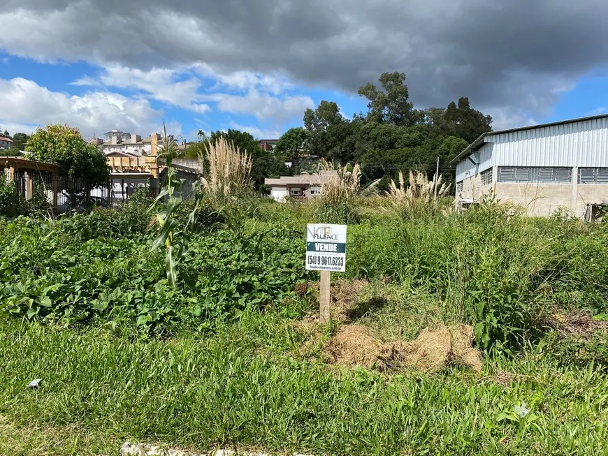 Foto 1 de Lote/Terreno à venda, 385m² em Vila Nova, Carlos Barbosa