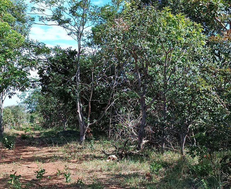 Foto 1 de Fazenda/Sítio à venda, 20000m² em Zona Rural, Pirenópolis