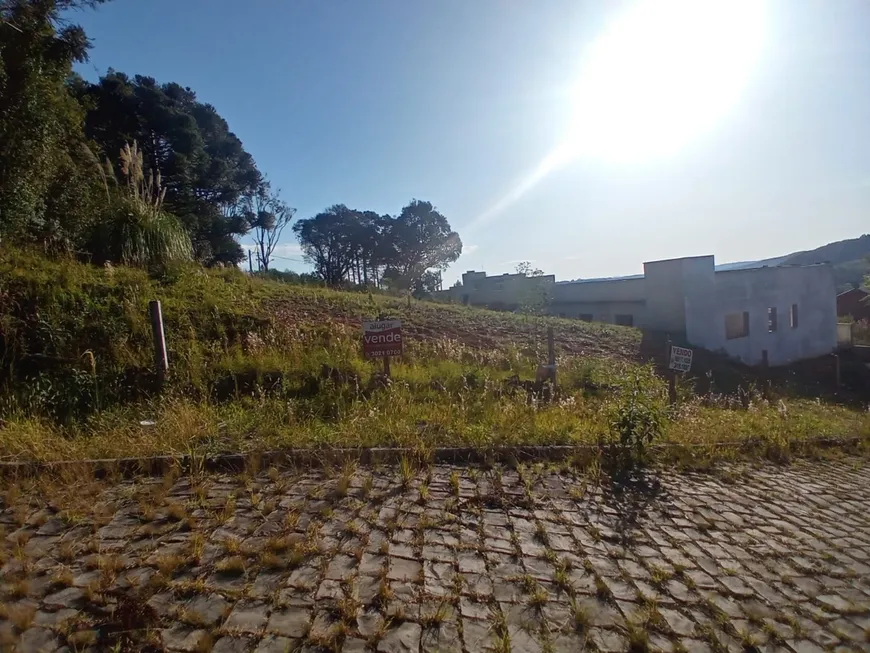 Foto 1 de Lote/Terreno à venda, 337m² em Monte Bérico, Caxias do Sul