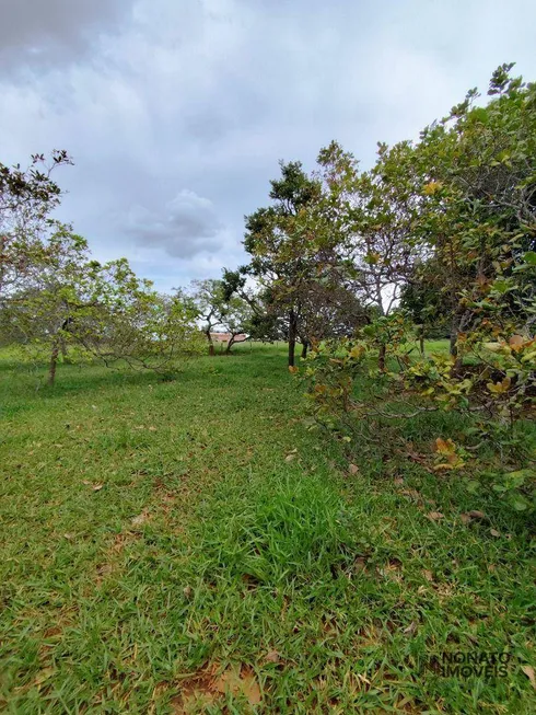 Foto 1 de Fazenda/Sítio com 2 Quartos à venda, 100m² em Centro, Aragoiânia