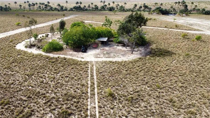 Foto 1 de Fazenda/Sítio à venda, 40000m² em Area Rural de Boa Vista, Boa Vista