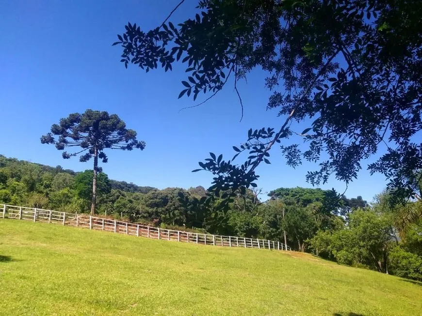 Foto 1 de Fazenda/Sítio com 5 Quartos à venda, 450m² em Sao Jaco, Sapiranga