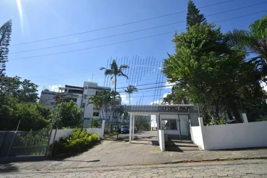 Foto 1 de Apartamento com 3 Quartos para alugar, 82m² em Carvoeira, Florianópolis