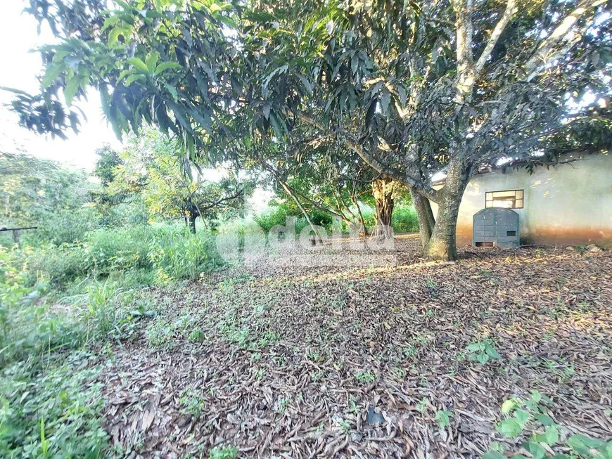 Foto 1 de Fazenda/Sítio à venda, 20000m² em Area Rural de Uberlandia, Uberlândia