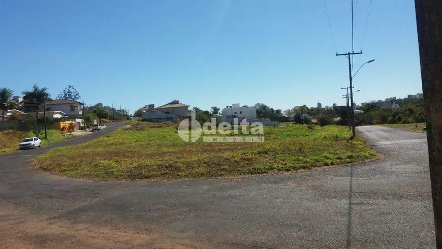 Foto 1 de Lote/Terreno à venda, 620m² em Jardim Inconfidência, Uberlândia