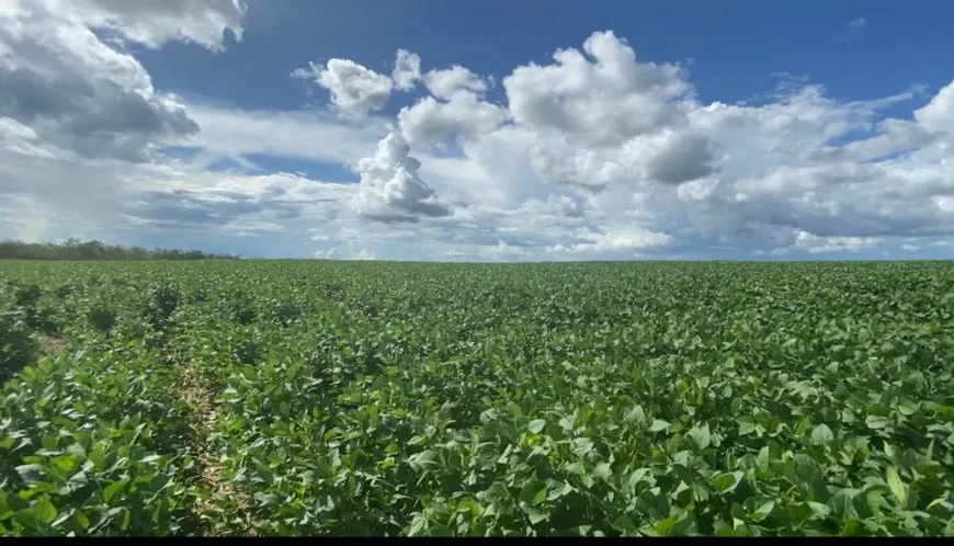 Foto 1 de Fazenda/Sítio com 1 Quarto à venda, 10m² em Zona Rural, Campo Alegre de Goiás