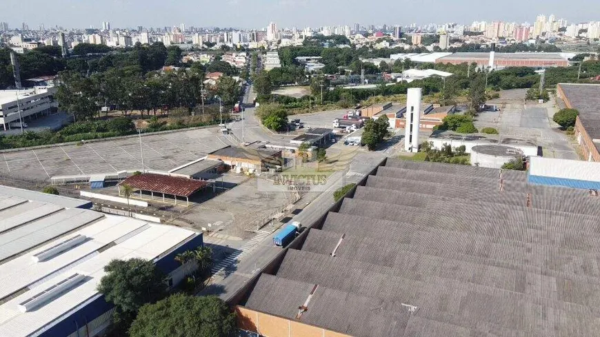 Foto 1 de Galpão/Depósito/Armazém para alugar, 48203m² em Parque Santo Antonio, São Bernardo do Campo