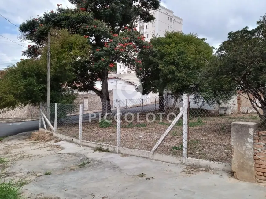 Foto 1 de Lote/Terreno para alugar, 331m² em Vila Marieta, Campinas