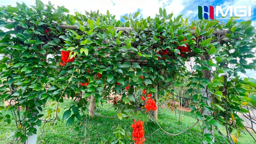 Foto 1 de Fazenda/Sítio com 4 Quartos à venda, 32000000m² em Campos Dourados, Aragoiânia