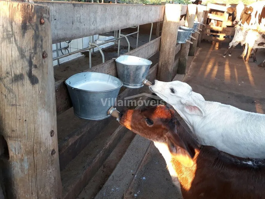 Foto 1 de Fazenda/Sítio com 6 Quartos à venda, 500m² em , Alpinópolis